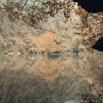 Thích Du lịch Profile Picture