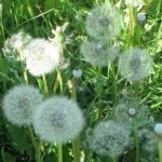 Nhóm tạo ngày 05/09 Profile Picture