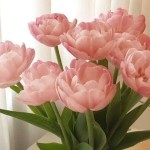 Vũ Huyền Profile Picture