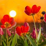 Admin 08/09 Profile Picture